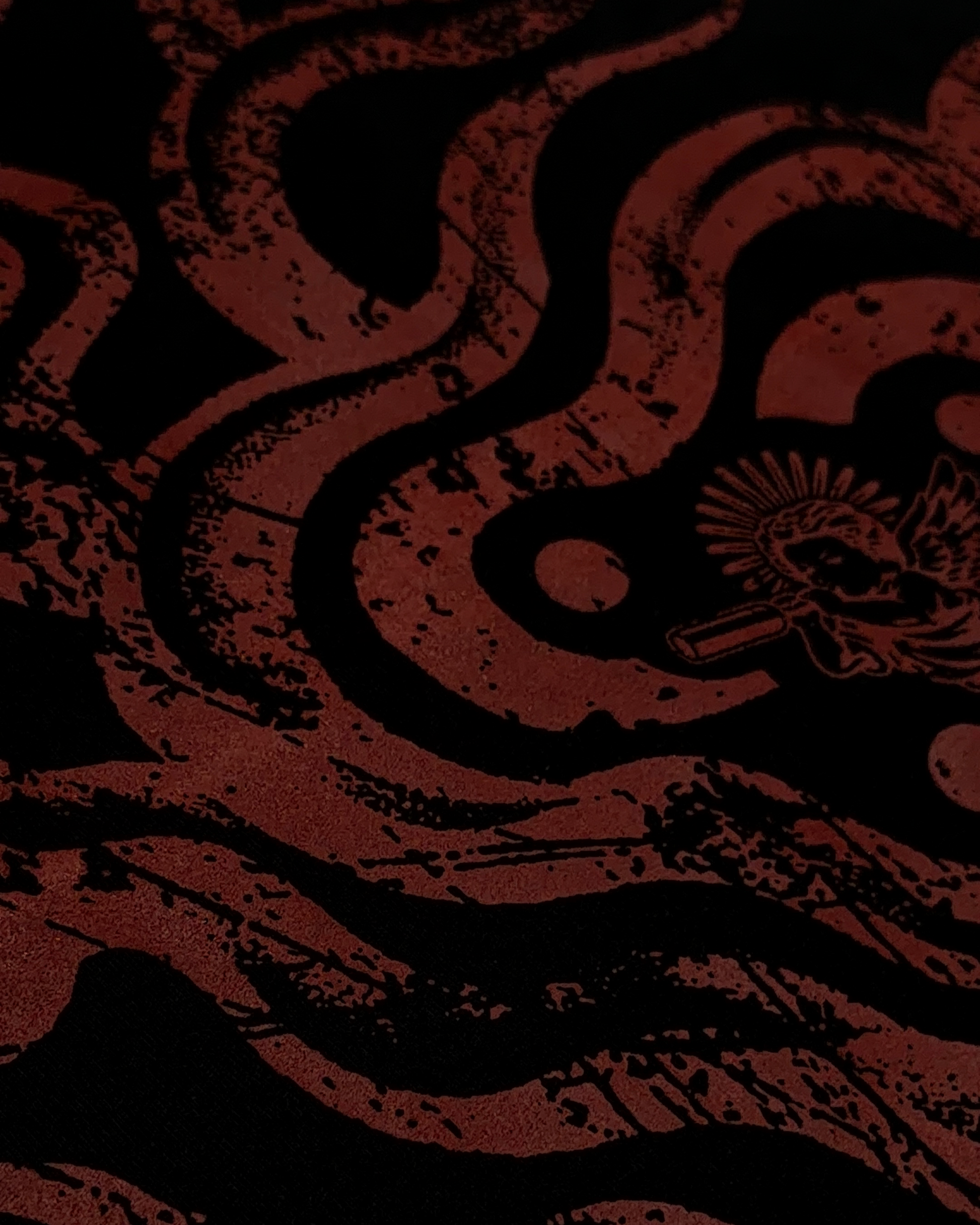FIRE SPIRAL